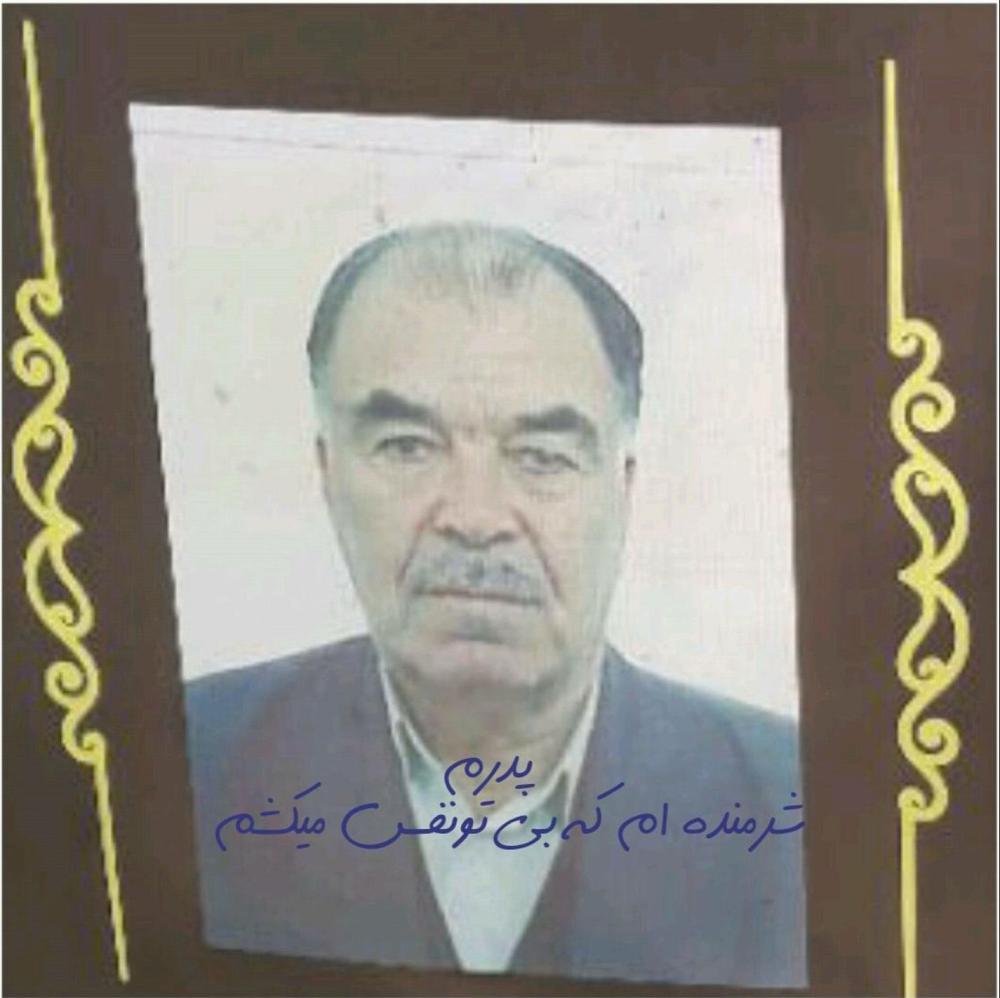 حسن شوقی