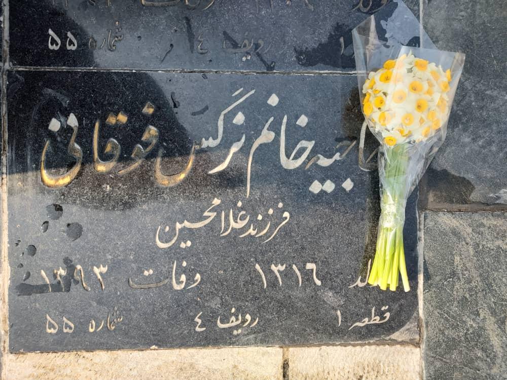 نرگس فوقانی