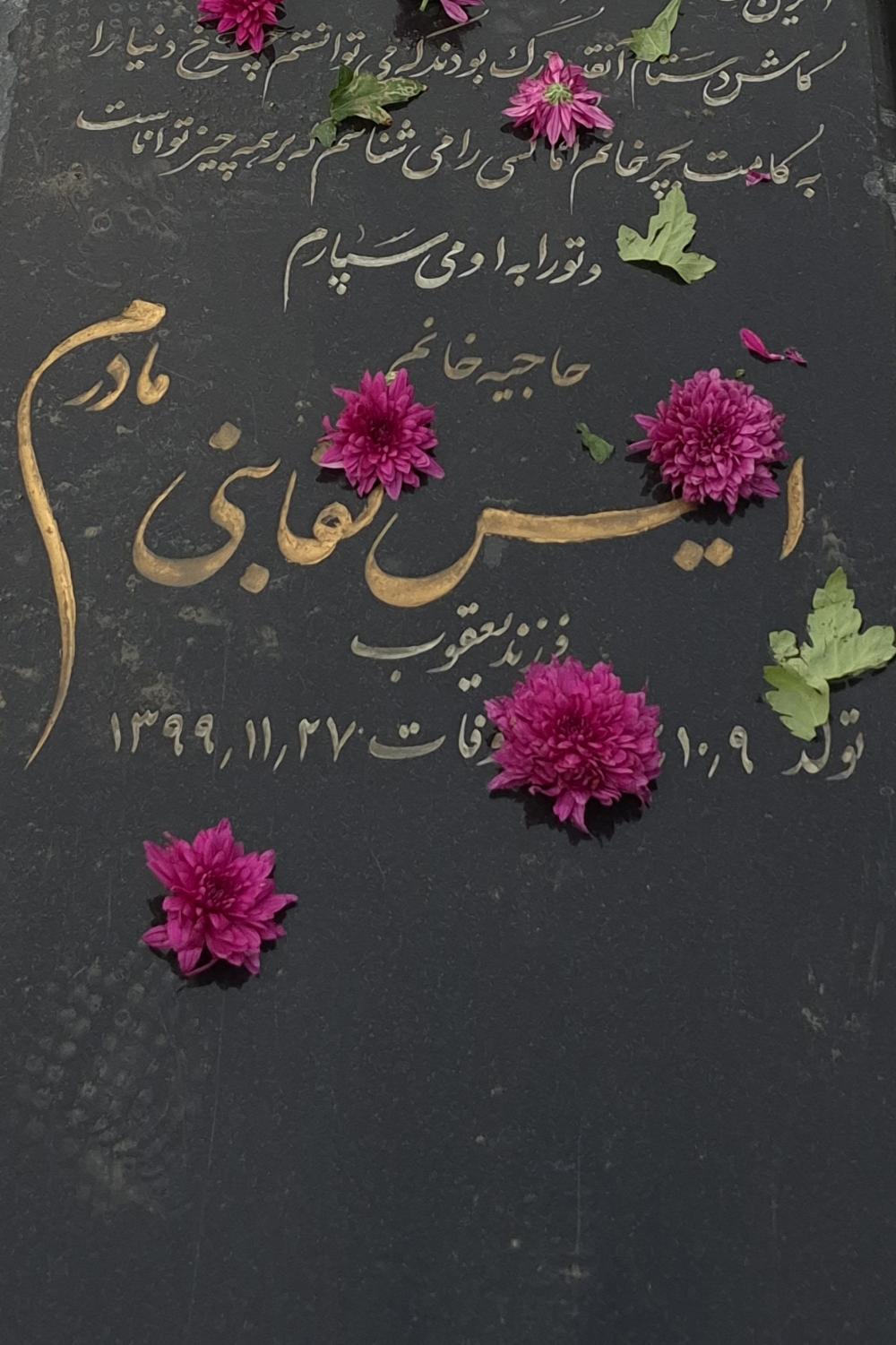 انیس تقابنی
