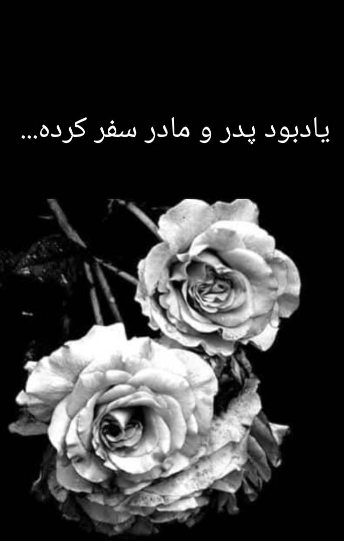 یادبود شادروان حاج عزت اله محمودی و مرحومه فخری بانو قپانوری🥀🥀