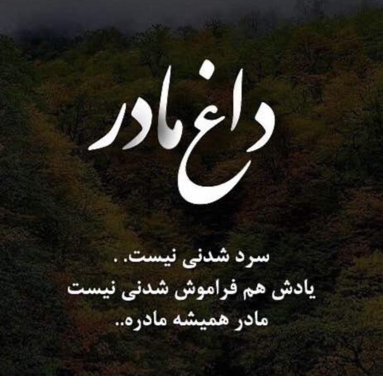 یادبود شادروان سیمین نجفی پور