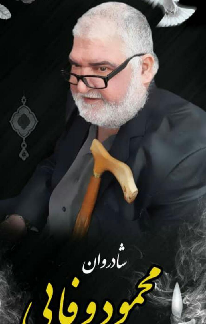 محمود وفایی