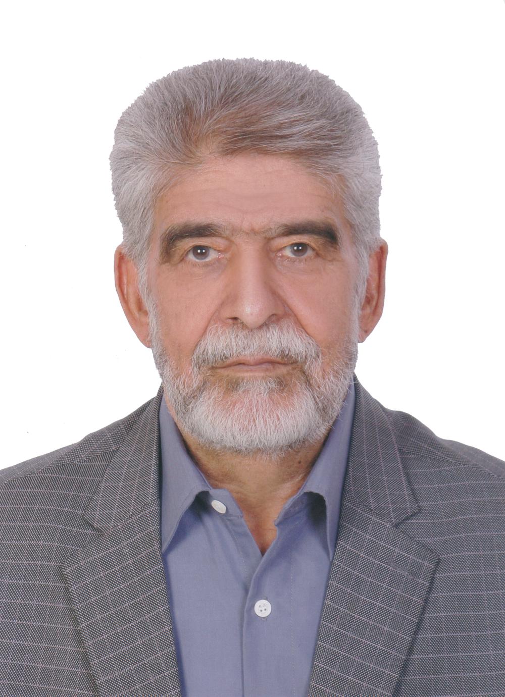 محمدحسن حبیبی