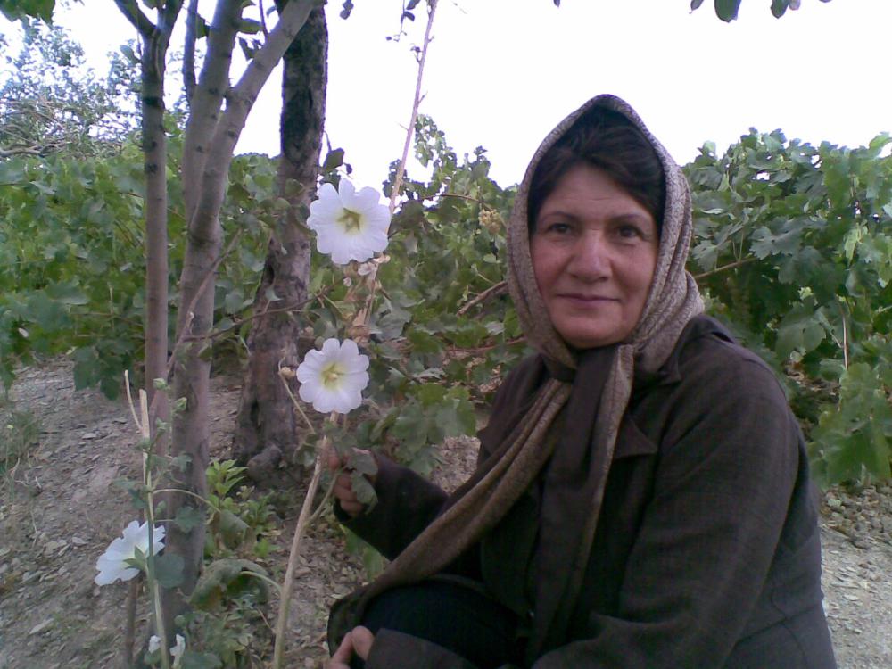 یادبود مرحومه عذرا حافظی