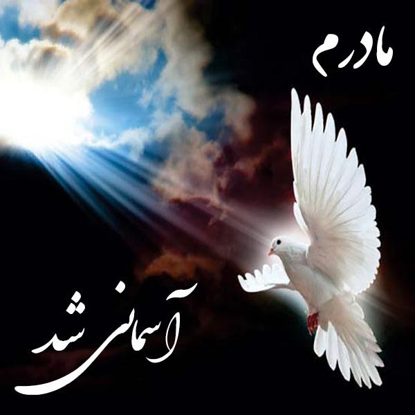 یادبود شادروان جوان ناکام مرحومه خانم سهیلا جهانی