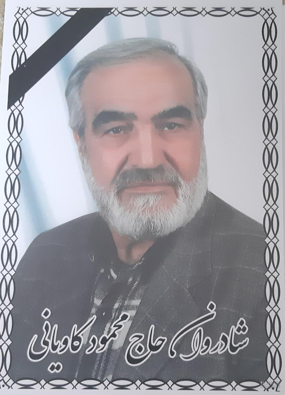 محمود کاویانی