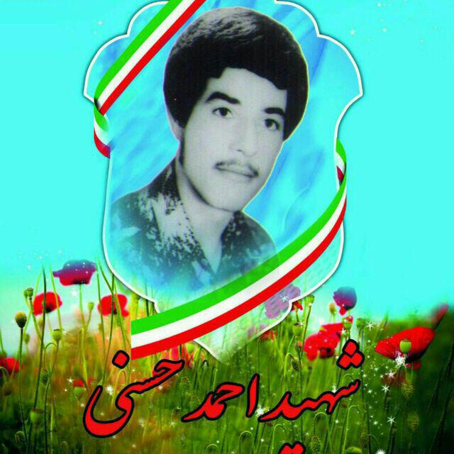احمد حسنی