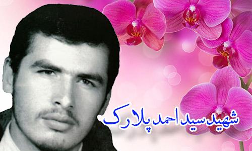 سید احمد پُلارک