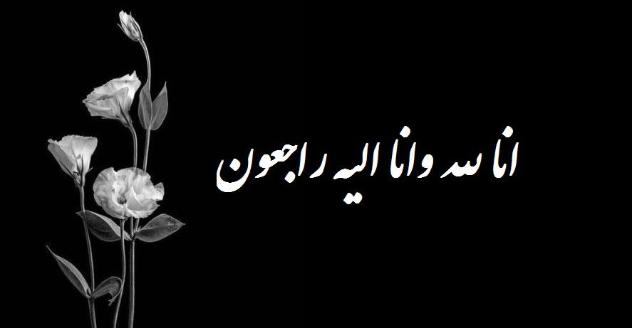 سید حمزه سید جلالی
