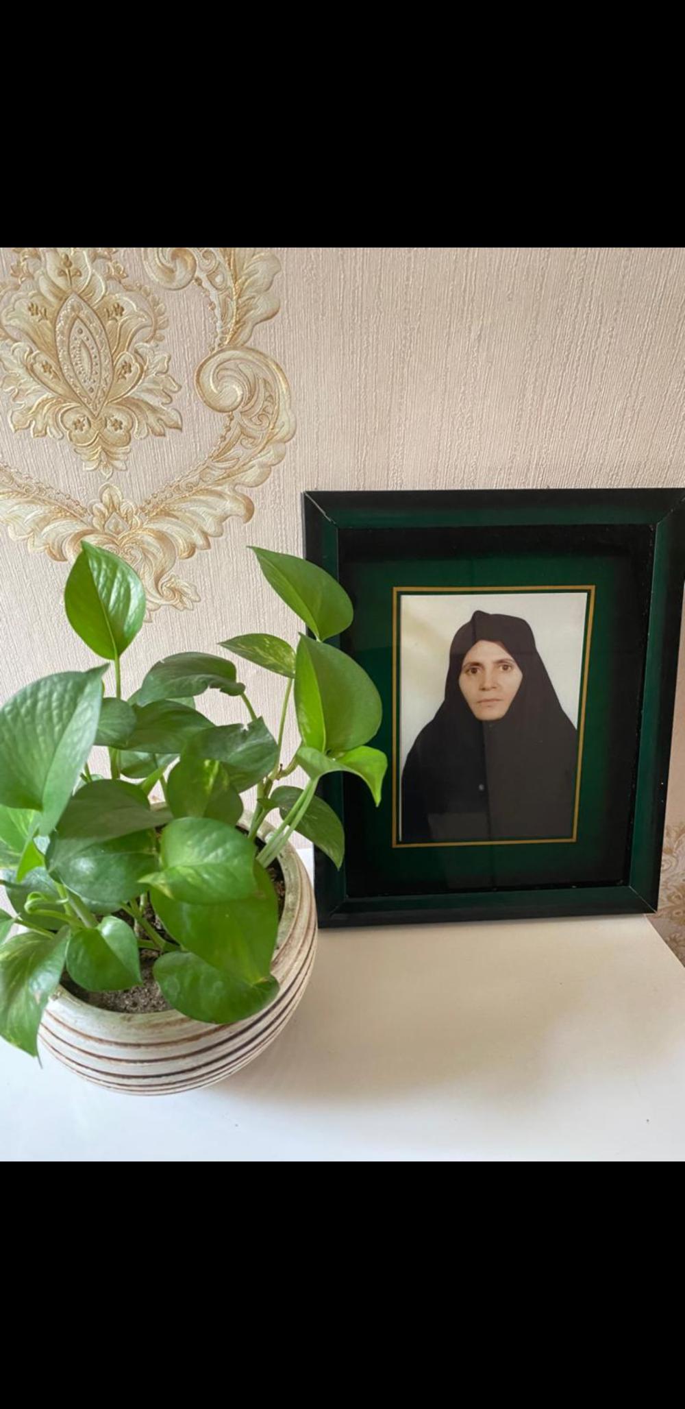 حمیده قائمی