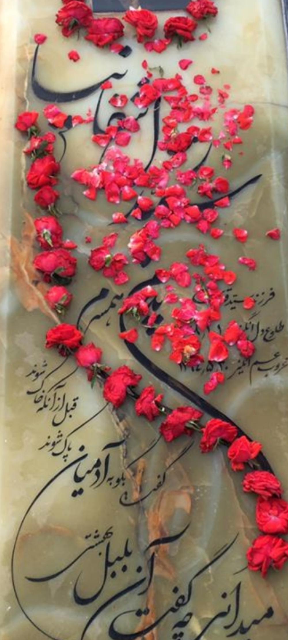 سید رسول شفانیا