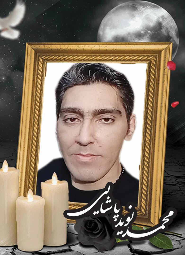 محمد نويد پاشايي