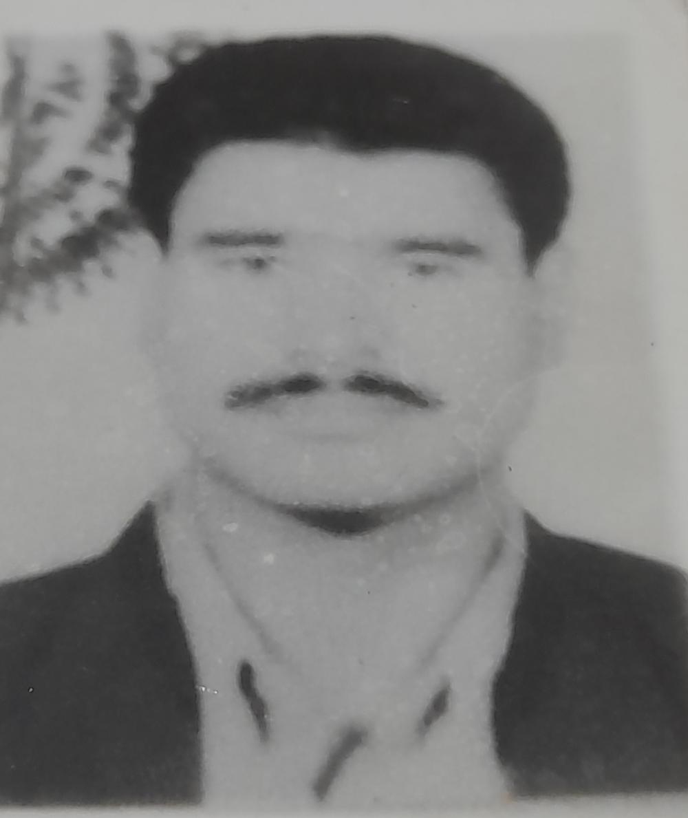 یادبود شادروان علی محمد حاملی
