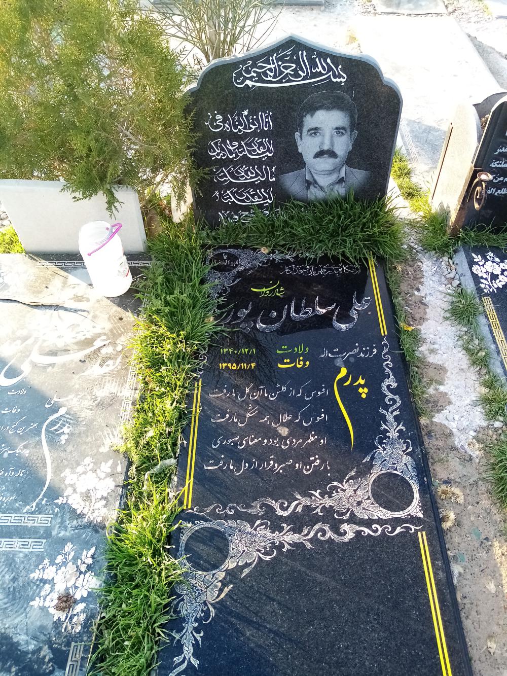یادبود شادروان علی سلطانپور