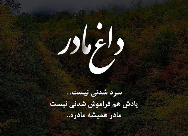 فاطمه احمدی