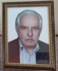 محمد اکبری طامه