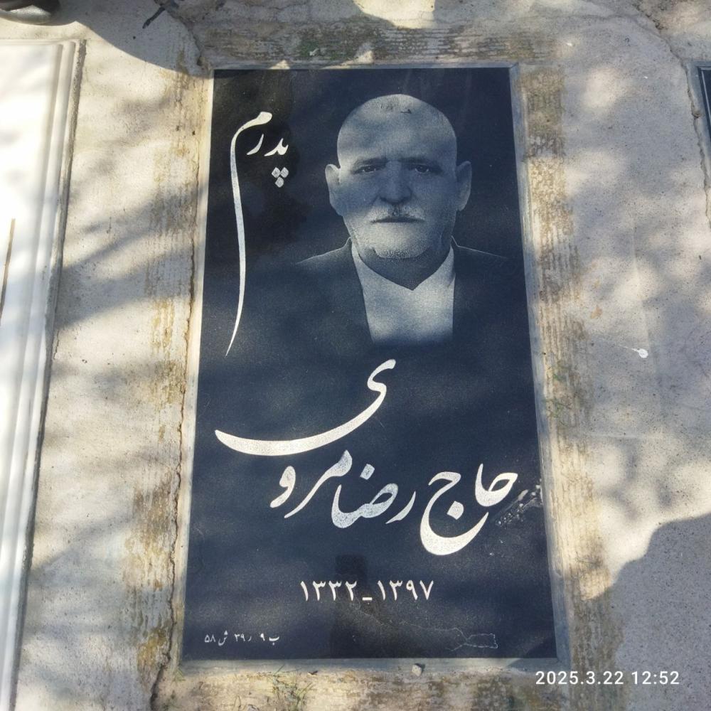 رضا مروی