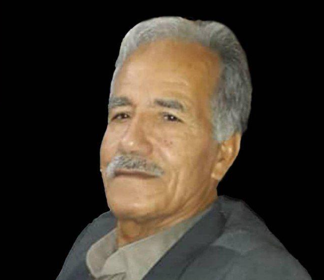 پرویز محبوبی فر