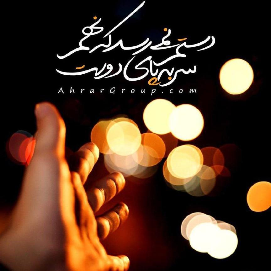 محمود شفیعی