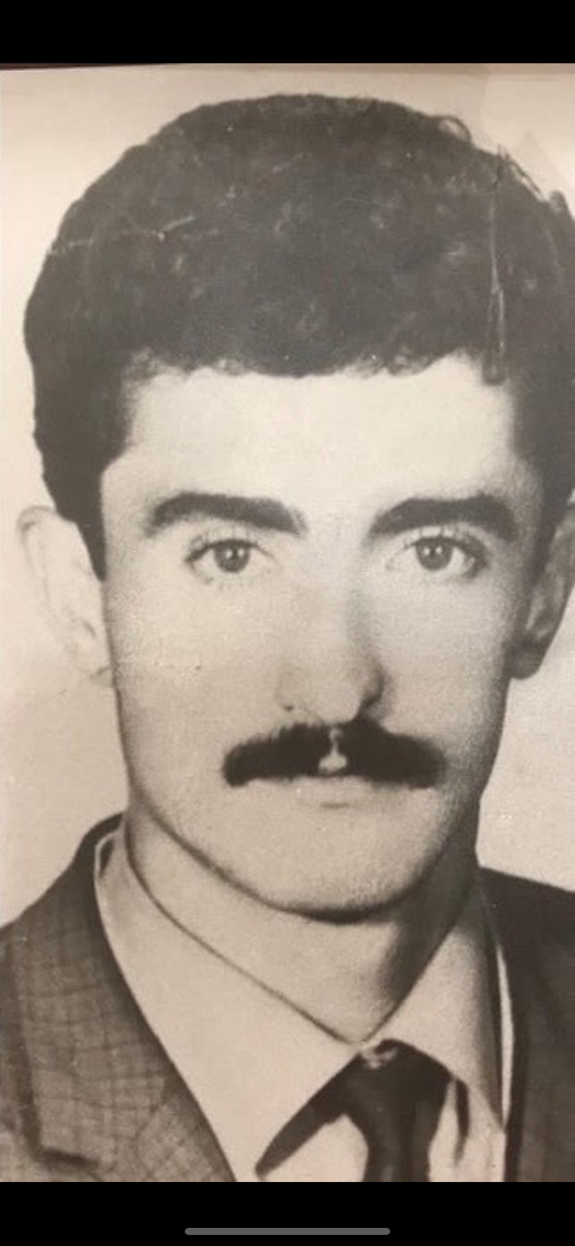 مسلم سعیدی
