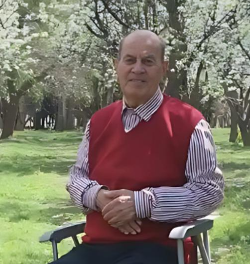 هادی کوثری