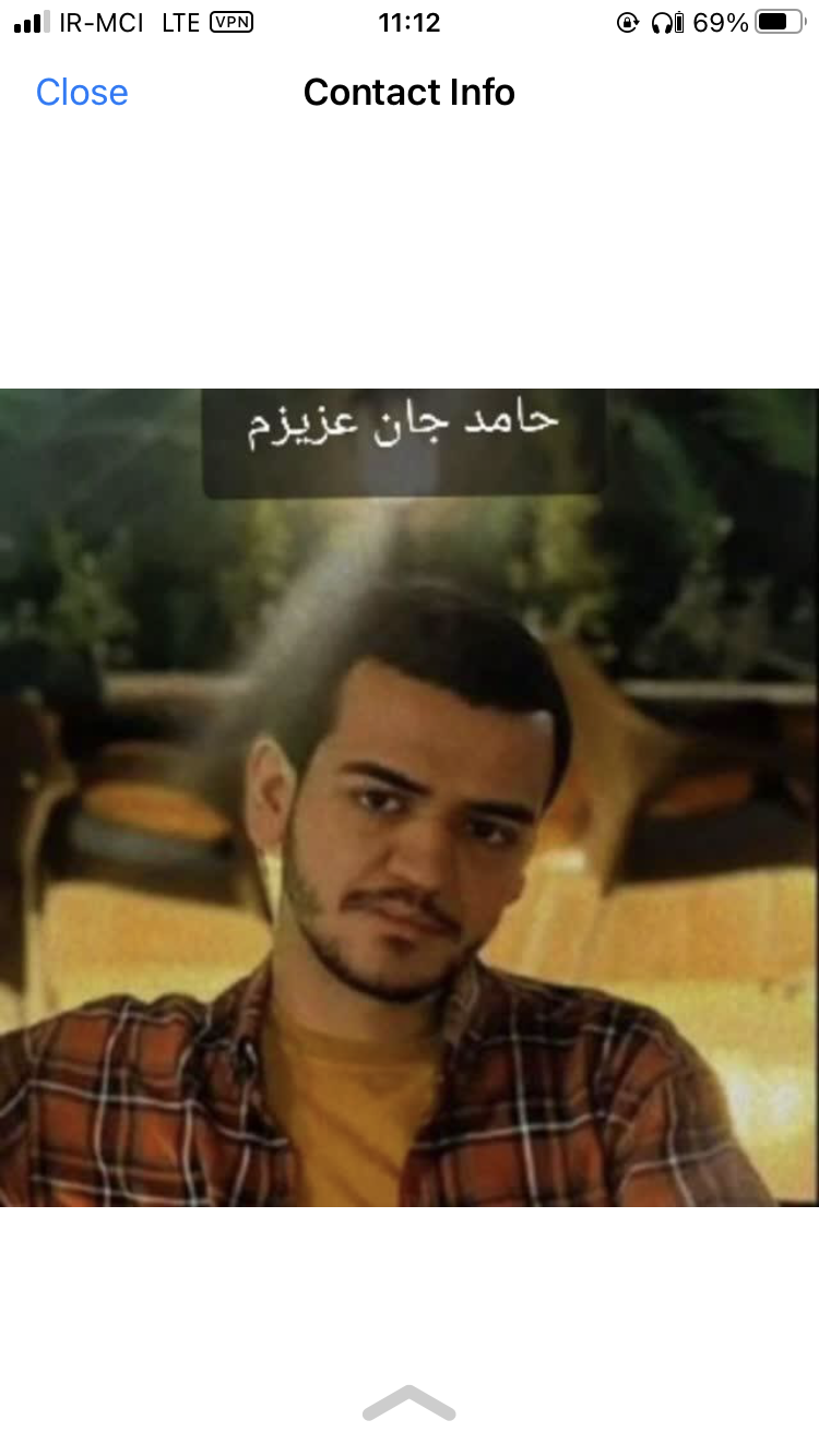 حامد حامدي