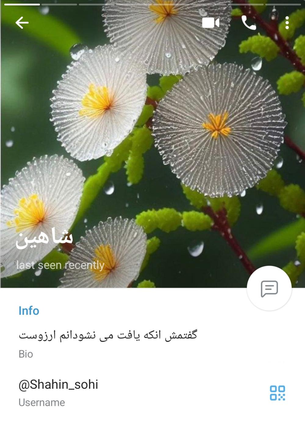 سهیلا شاهین