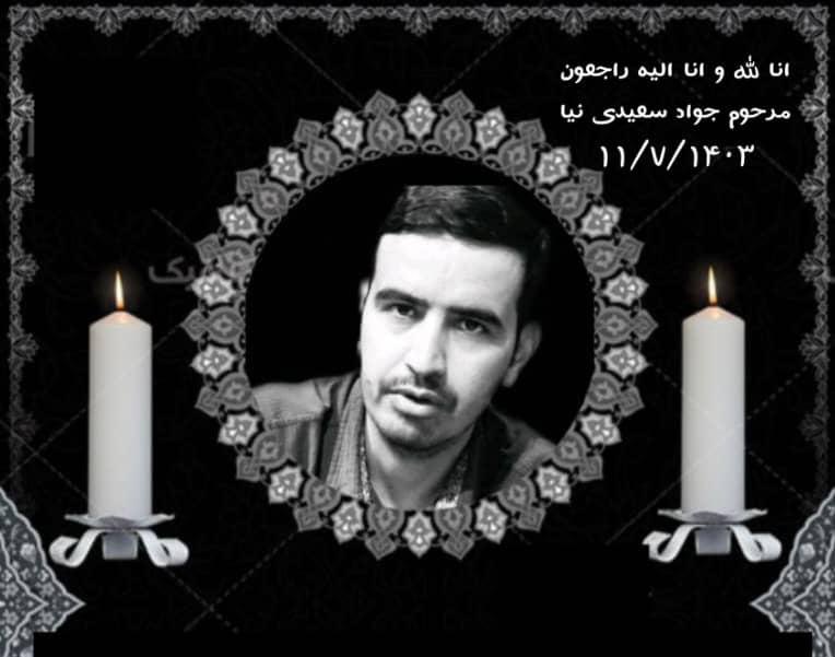 جواد سعیدی نیا
