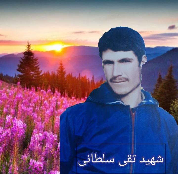 تقی سلطانی