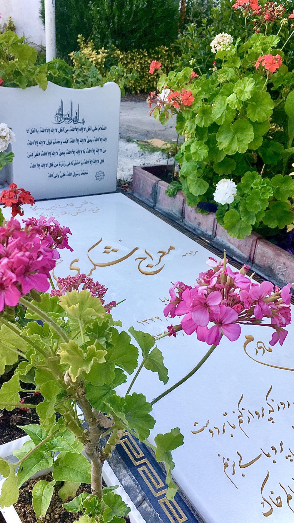 معــراج شکــری