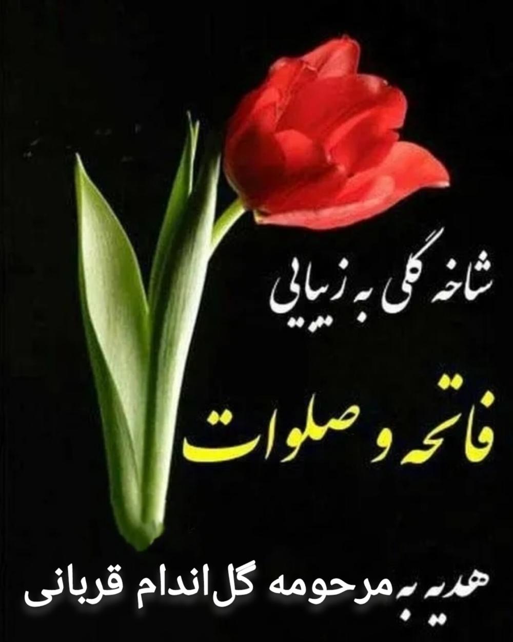 گل‌اندام قربانی