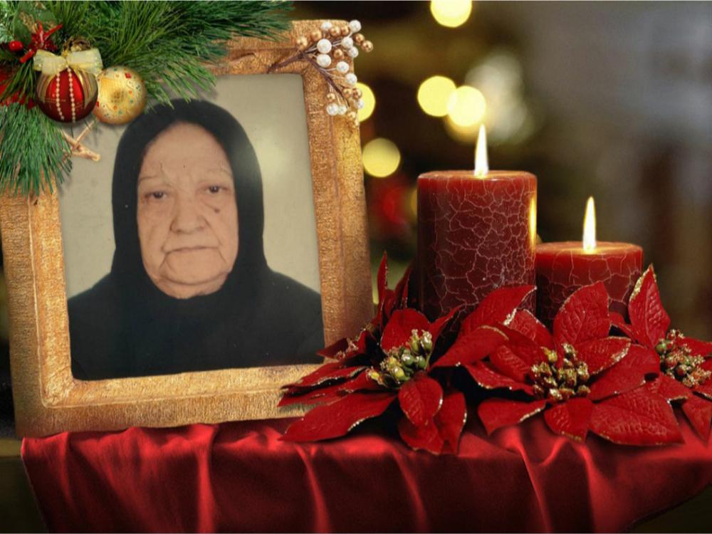 فریده نیک پور