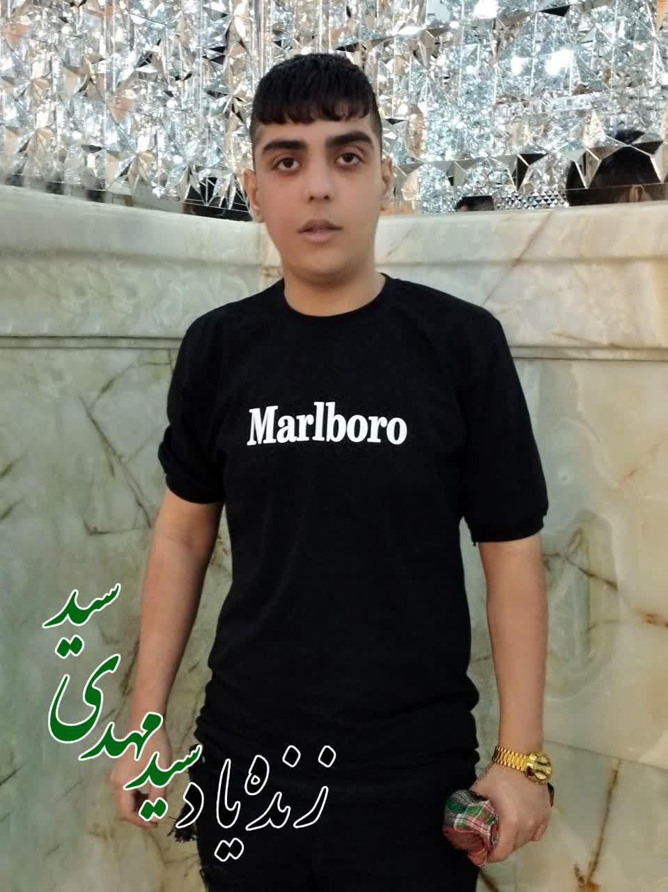 سیدمهدی سید
