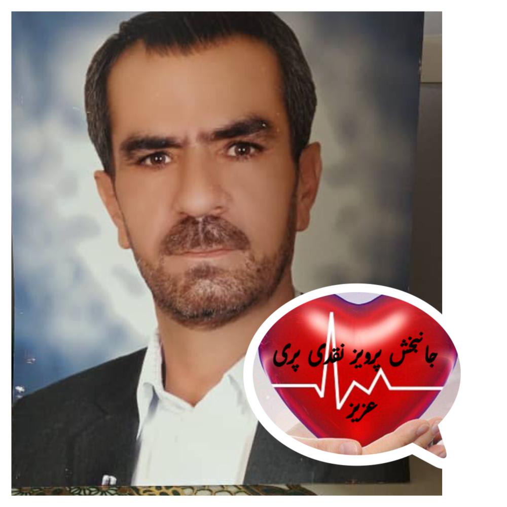 پرویز نقدی پری