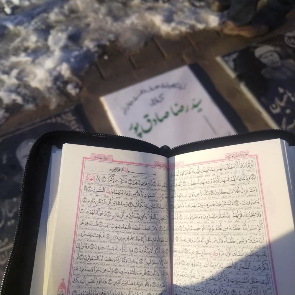 سیدرضا صادق پور