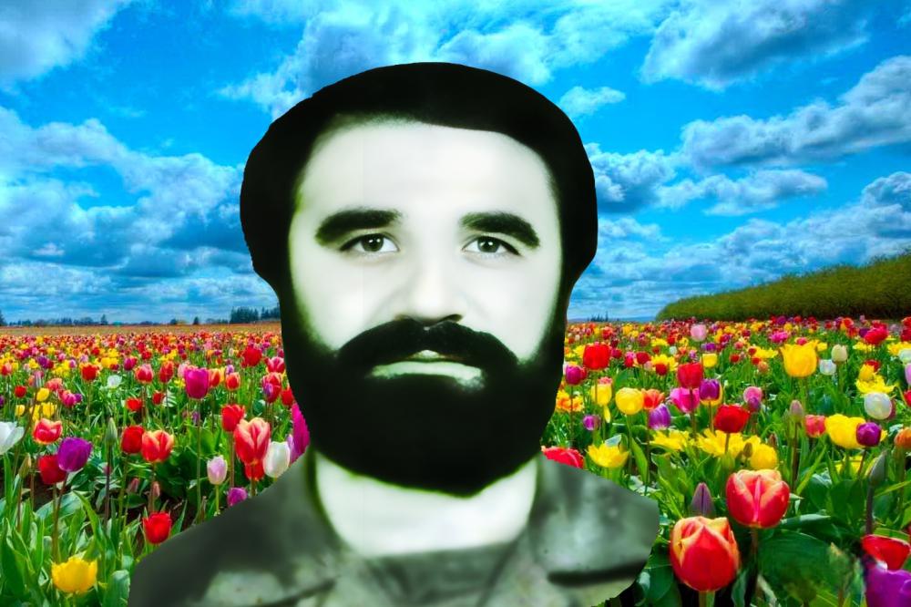 لطفعلی خانی
