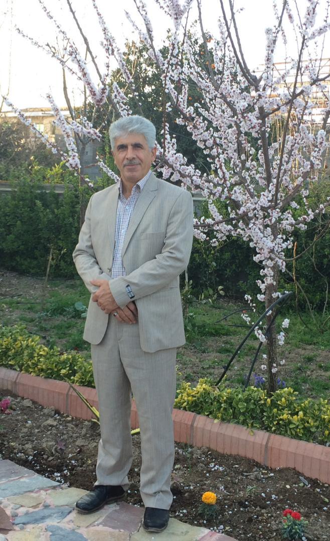 محسن نوروزی محلی