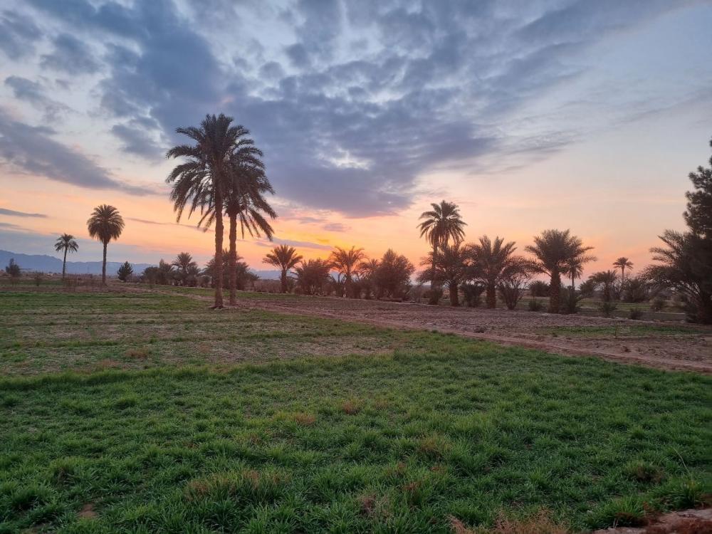 رمضان جلالپور