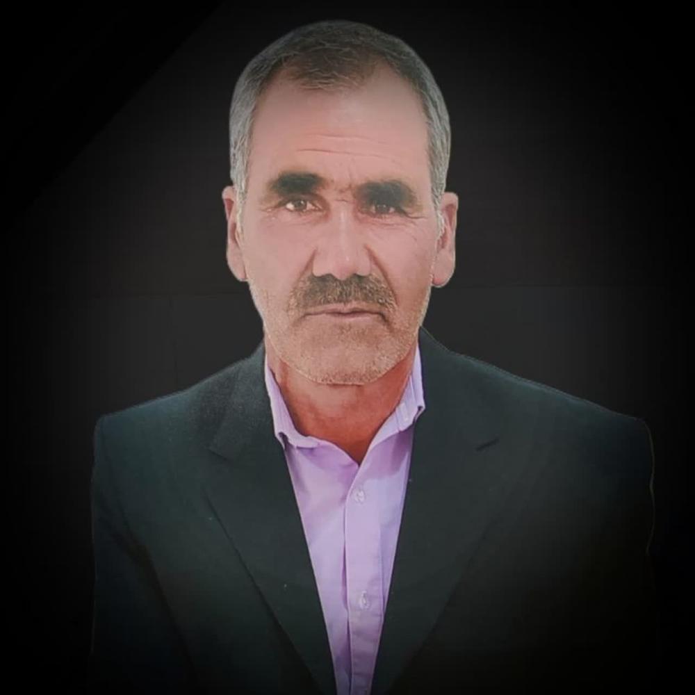 محمدعلی زارعی کلاته سری