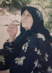 خانم هدیه تقی خانی