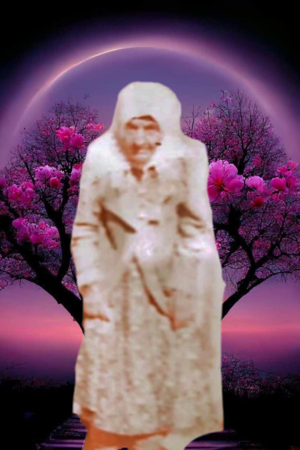 شهربانو رضوی