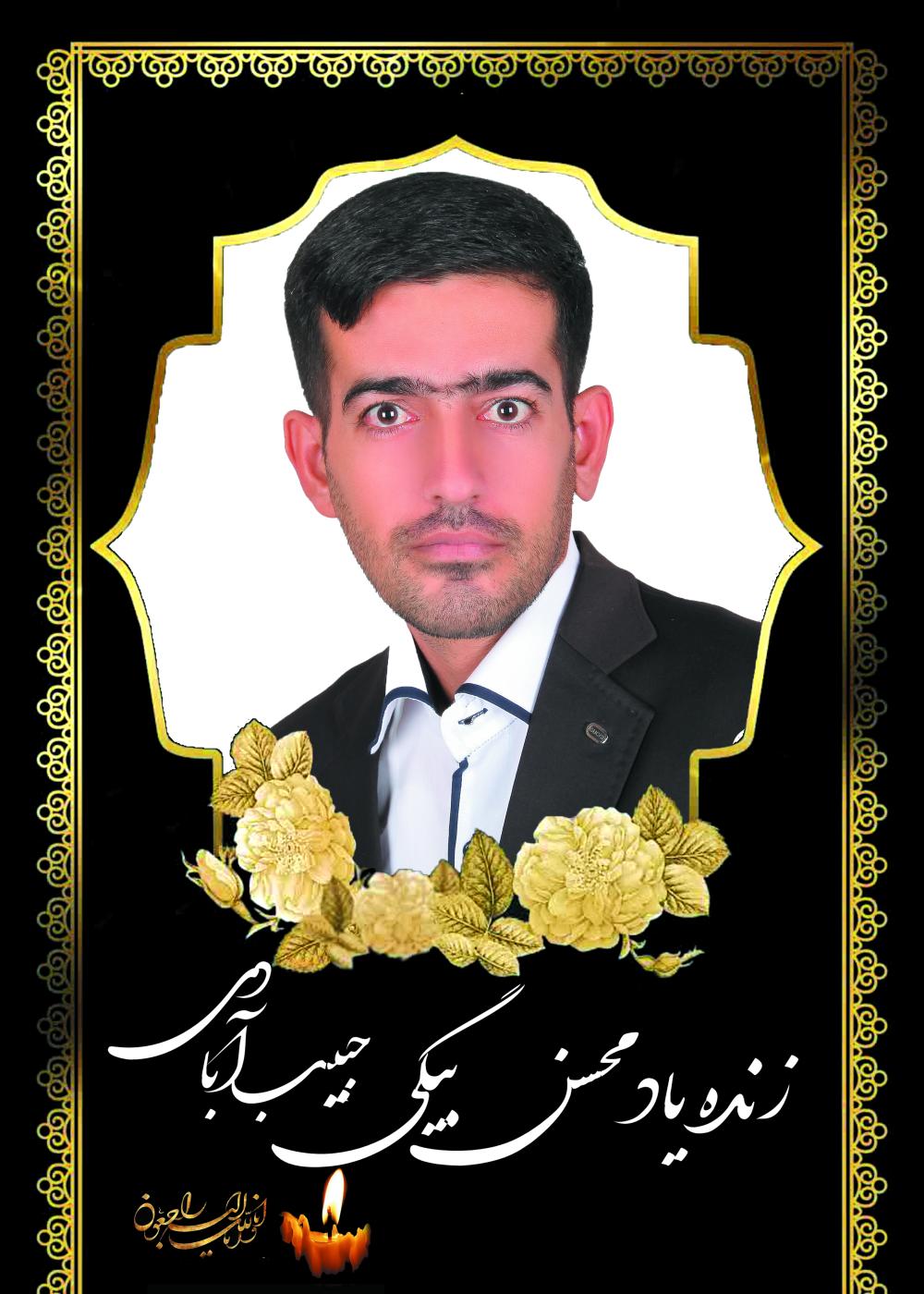 محسن بیگی حبیب آبادی