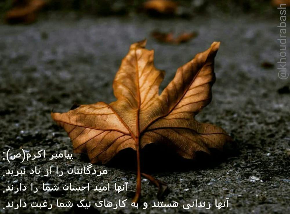 علیرضا علیائی