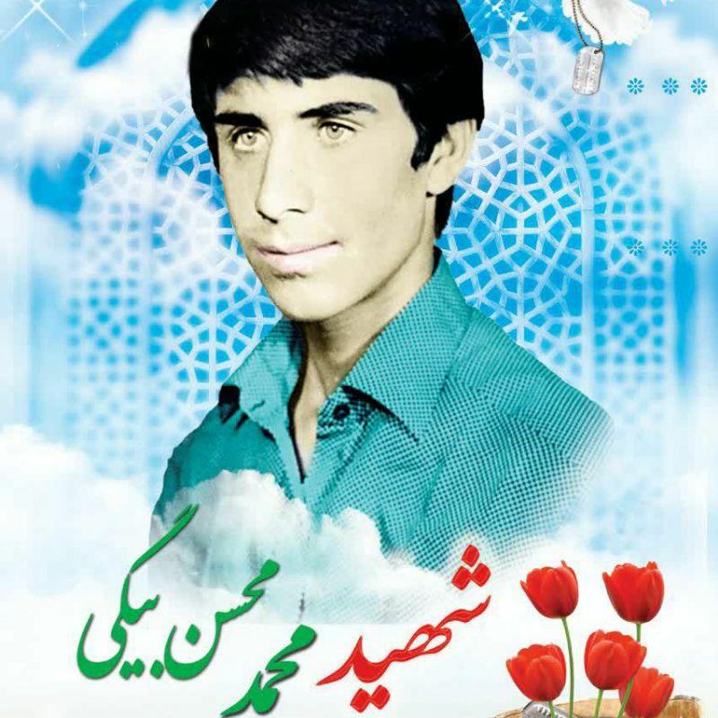 محمد محسن بیگی