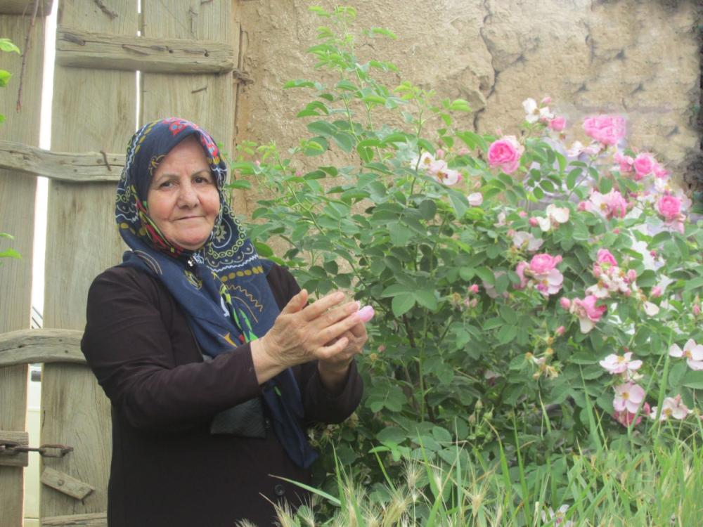 عزت بیدارفرخد