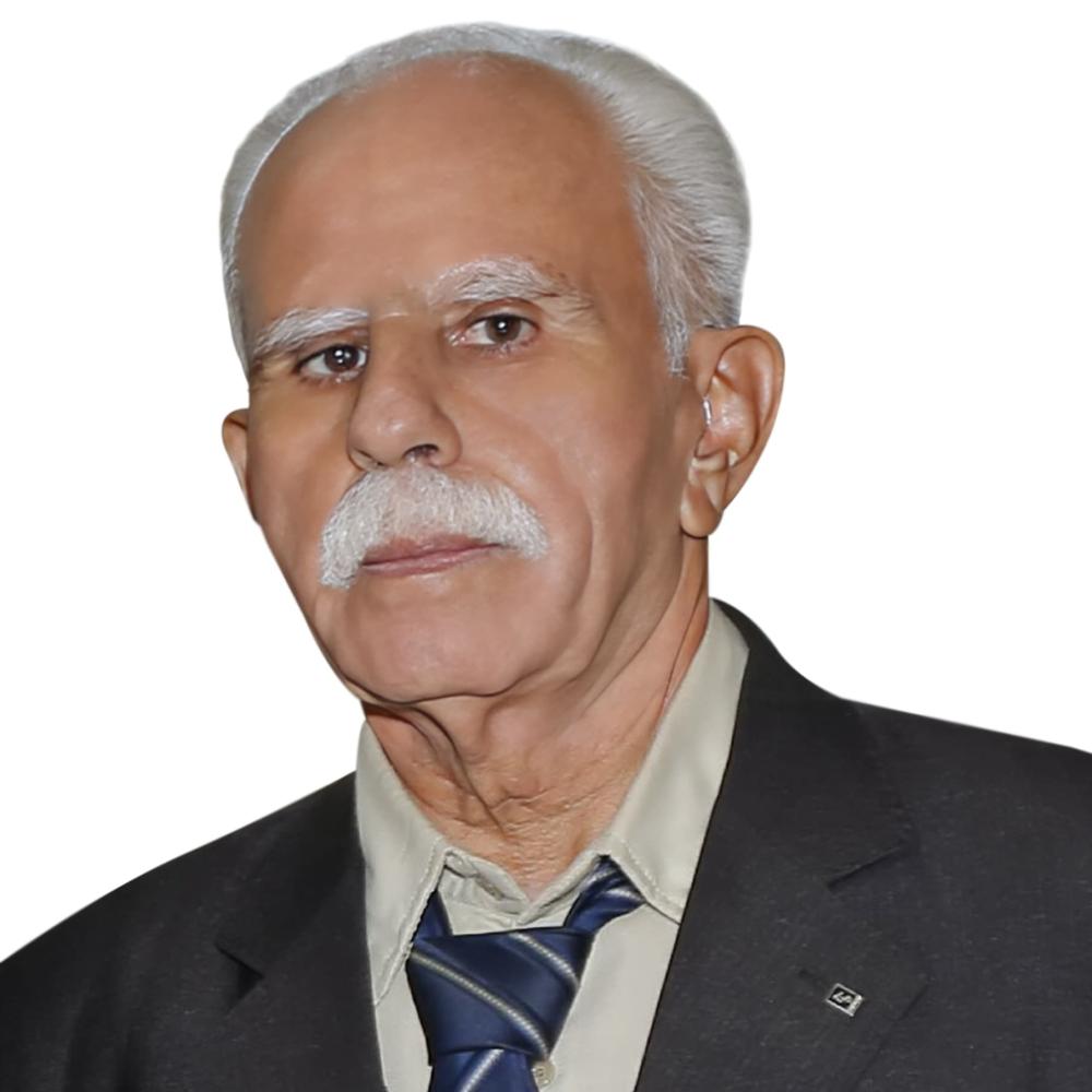 محمدحسین توحیدی فرد