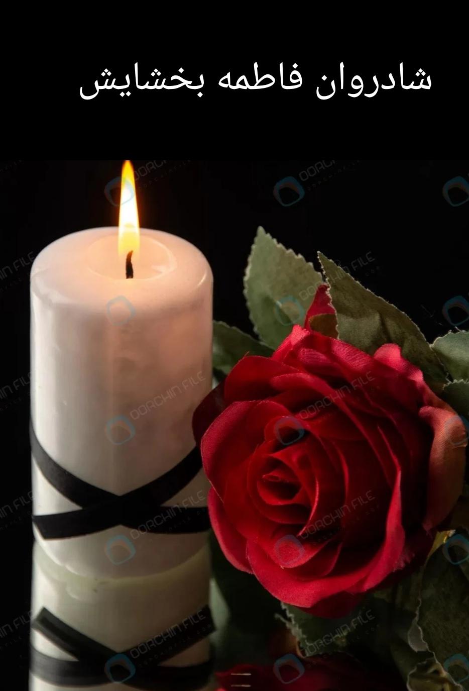 فاطمه بخشایش