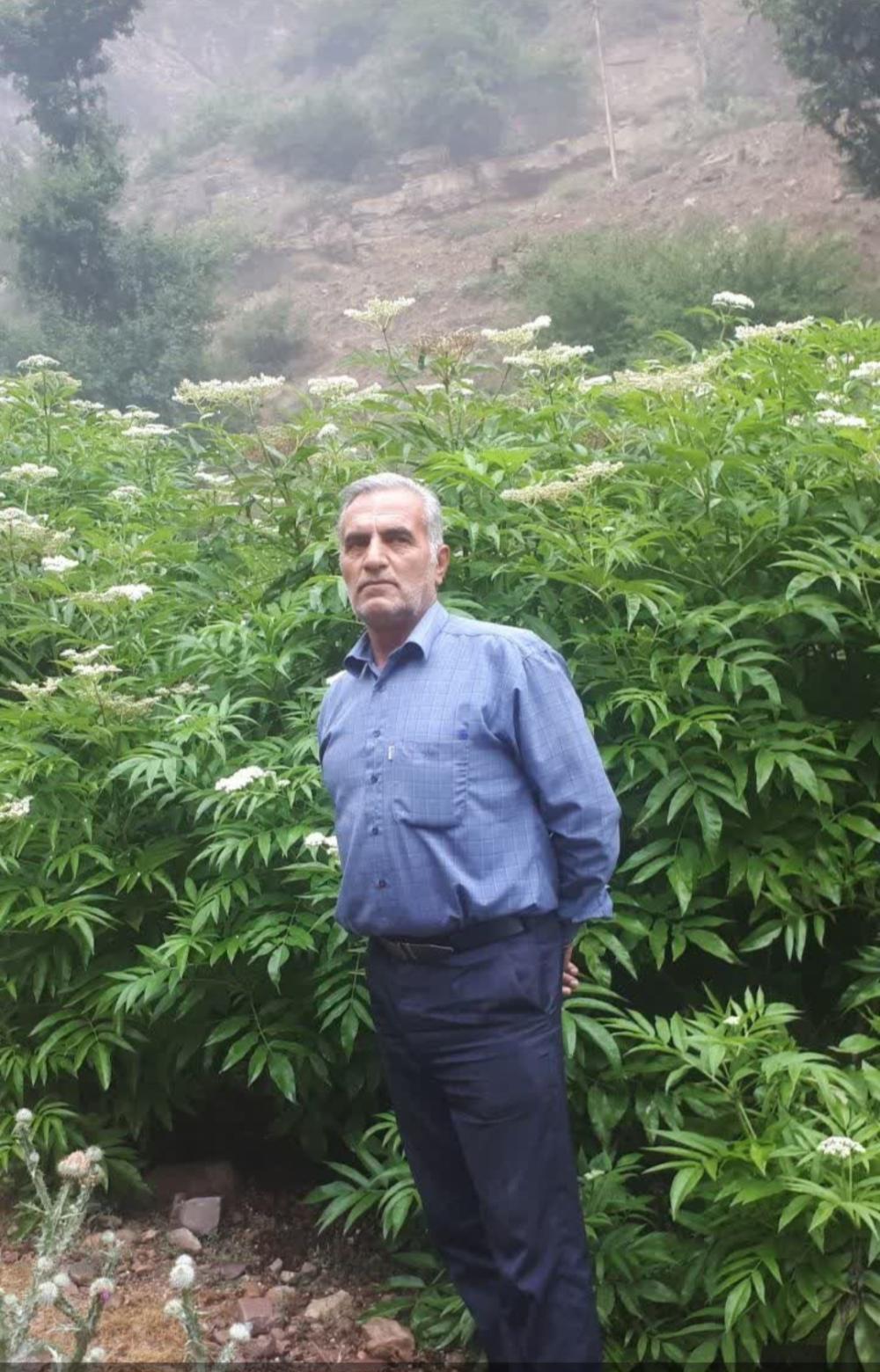 دایی جانم نوروز انگوران اصغری