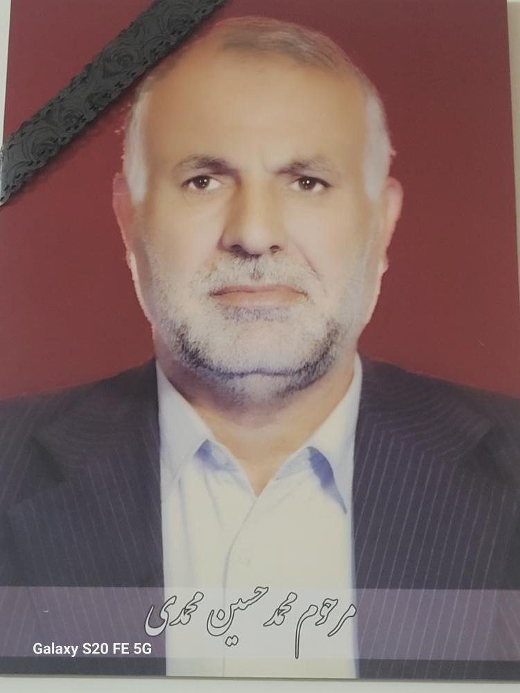 محمد حسین محمدی