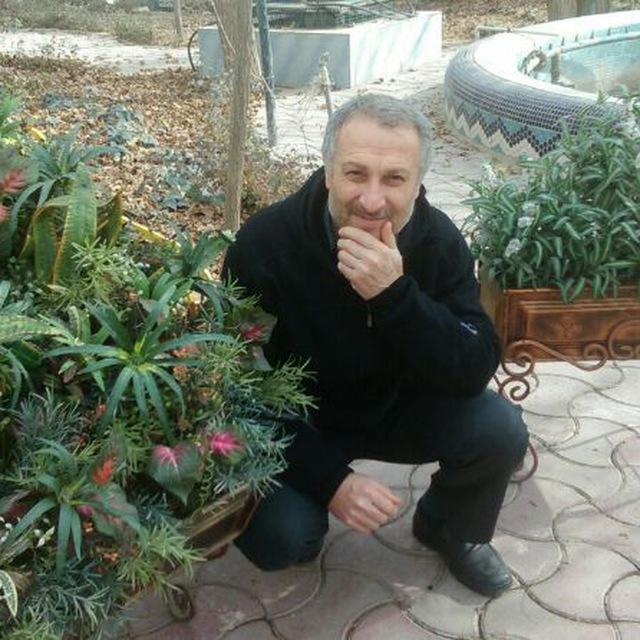 شعبانعلی سجودی